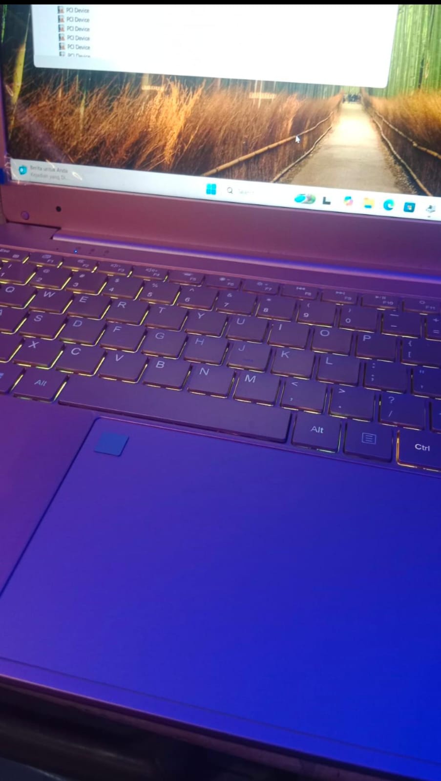 laptop sering freez